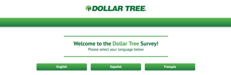 dollartreefeedback