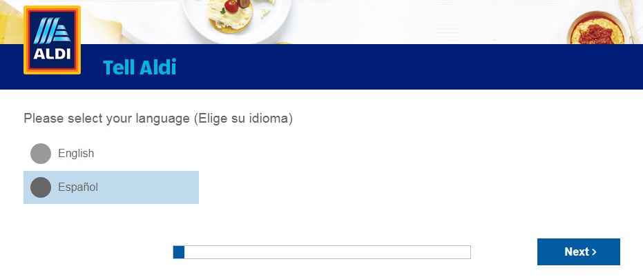 ALDI Survey